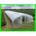 Export to USA Tunnel Greenhouse